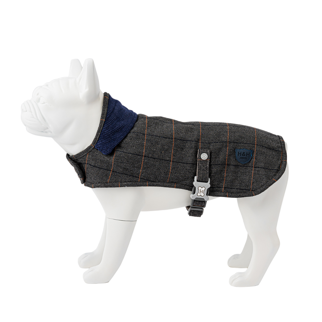 Tweed Jacket Hugo & Hudson Perrosville