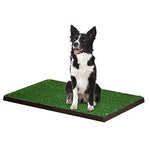 WEE-WEE PATCH – GRAMA ARTIFICIAL PARA PERRO