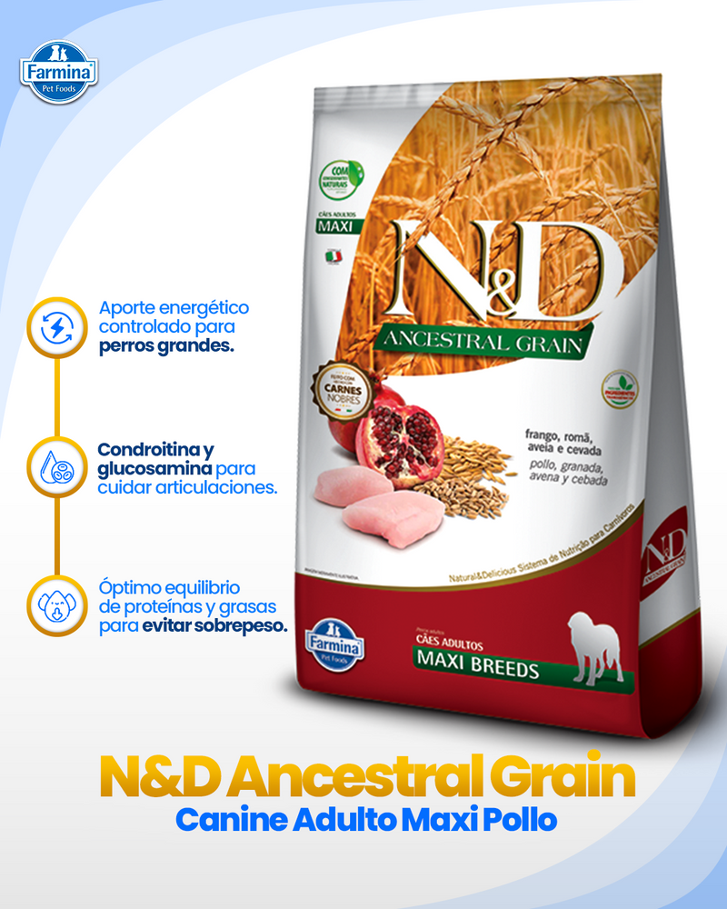 N&D Ancestral Can Frango Adult Maxi 10.1kg – Alimento para Perros Adultos Razas Grandes