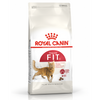 Royal Canin Gato - FIT32