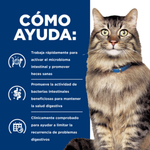 Hill's Prescription Diet Gato - Gastrointestinal Biome