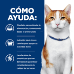 Hill's Prescription Diet Gato - ONC