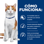 Hill's Prescription Diet Gato - ONC