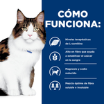 Hill's Prescription Diet Gato - W/D Multi-benefit