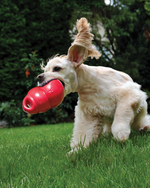 Kong Bounzer