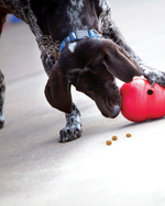 Kong Wobbler