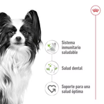 Royal Canin Adulto - X-Small