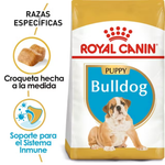 Royal Canin Cachorro - Bulldog Ingles