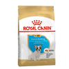 Royal Canin Cachorro - French Bulldog