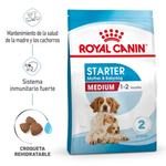 Royal Canin Mediano - Starter Mama & Cachorro