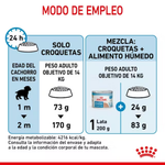 Royal Canin Mediano - Starter Mama & Cachorro