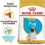 Royal Canin Cachorro - Pug